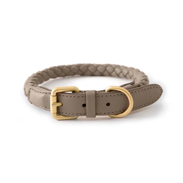 Braided Dog Leash & Collar - Adjustable Walking Rope for Small Dogs - photo 14