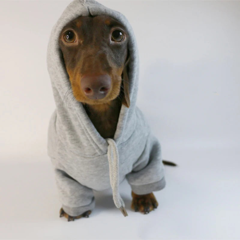 Sausage Dog Hoodie - Warm Pullover for Dachshunds – photo 6