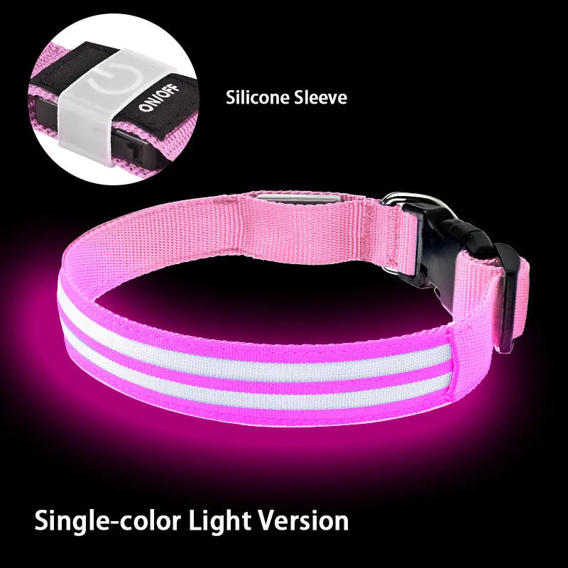 LED Light Up Dog Collar – Rechargeable Glowing Safety Collar for Night Walks | Color LED Pet Necklace with Harness & Leash Ring
