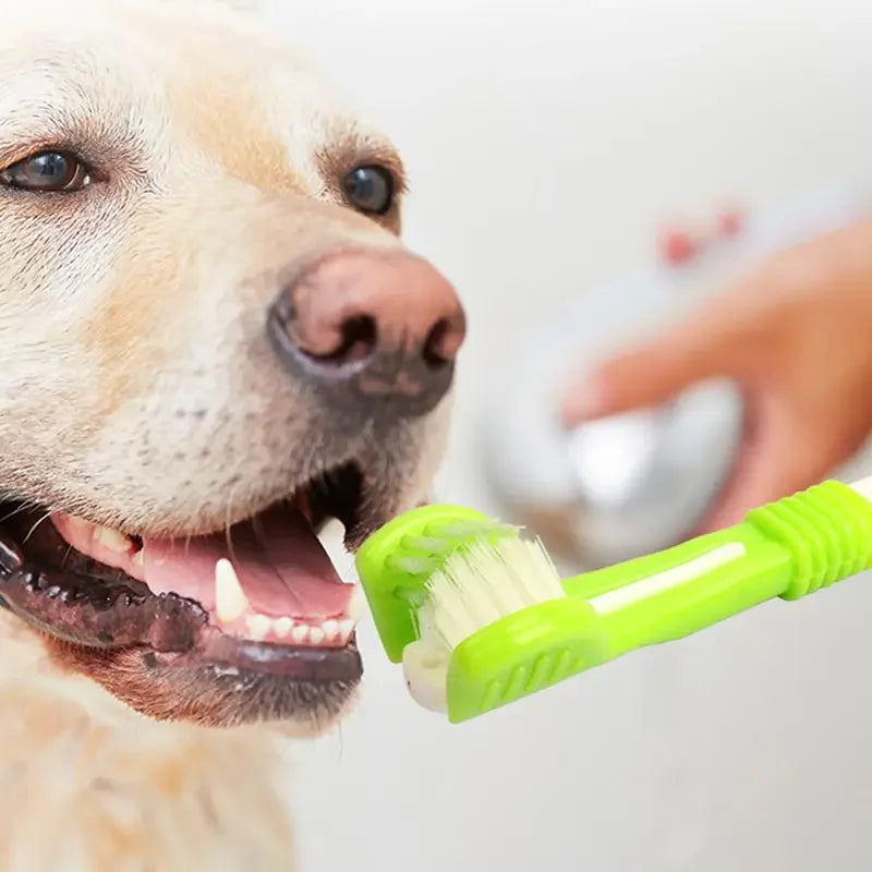 3-Sided Pet Toothbrush - Multi-Angle Dog & Cat Brush – photo 5