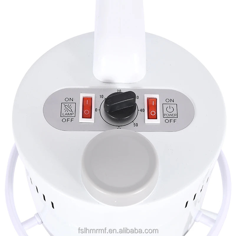 Multi-purpose Hot Sprayer Beauty Device for Salon Spa 2 in 1 Facial Steamer with Magnifying Lamp Led