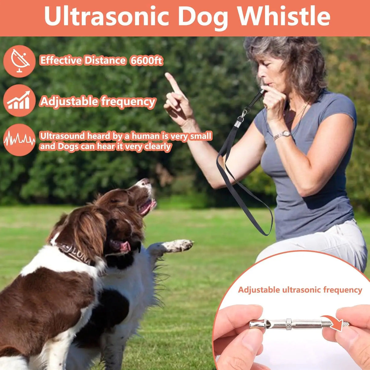 Compact Dog Training Kit - Pouch, Clicker, Whistle & Bags – photo 6
