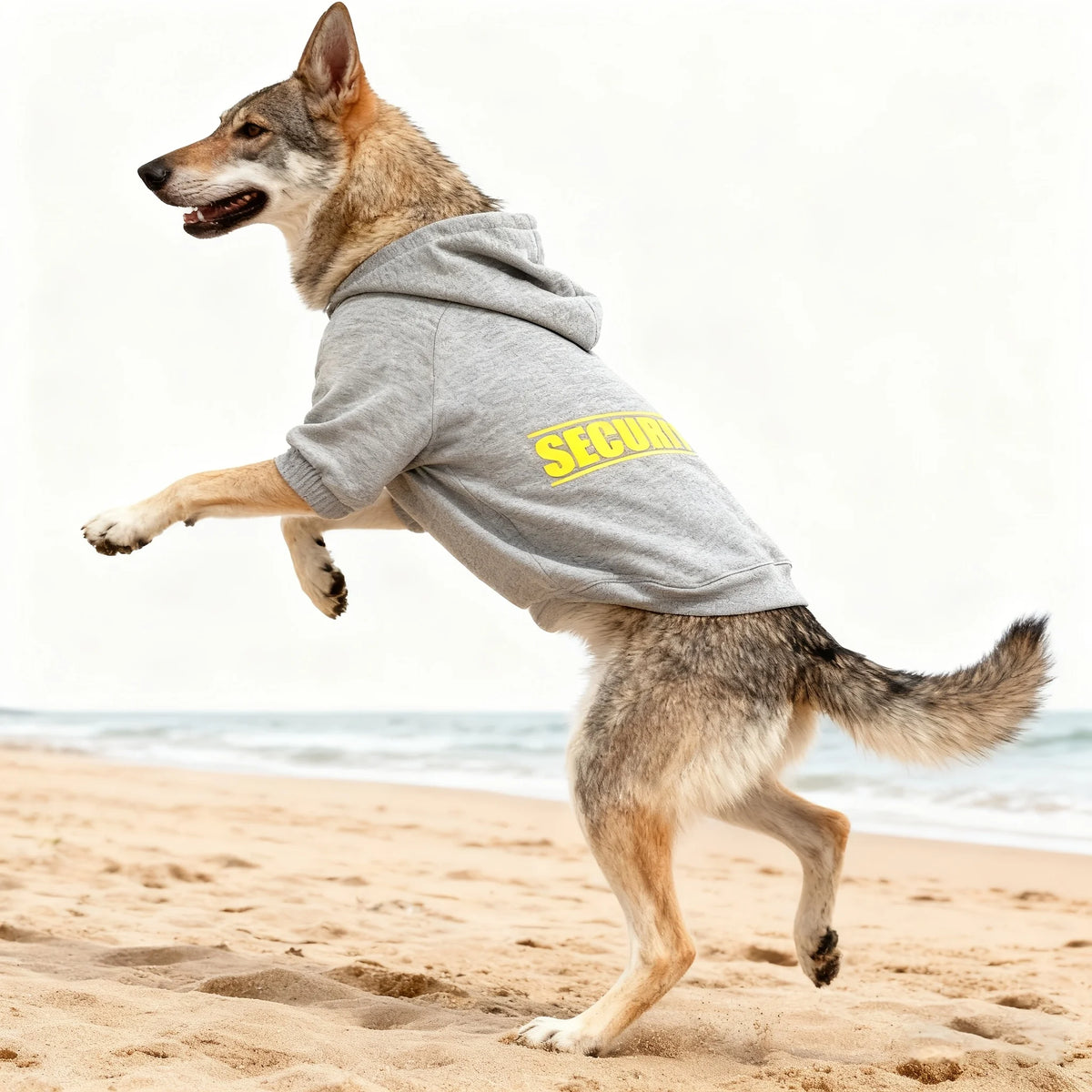 Classic Pet Hoodie for Medium to Large Dogs – photo 8