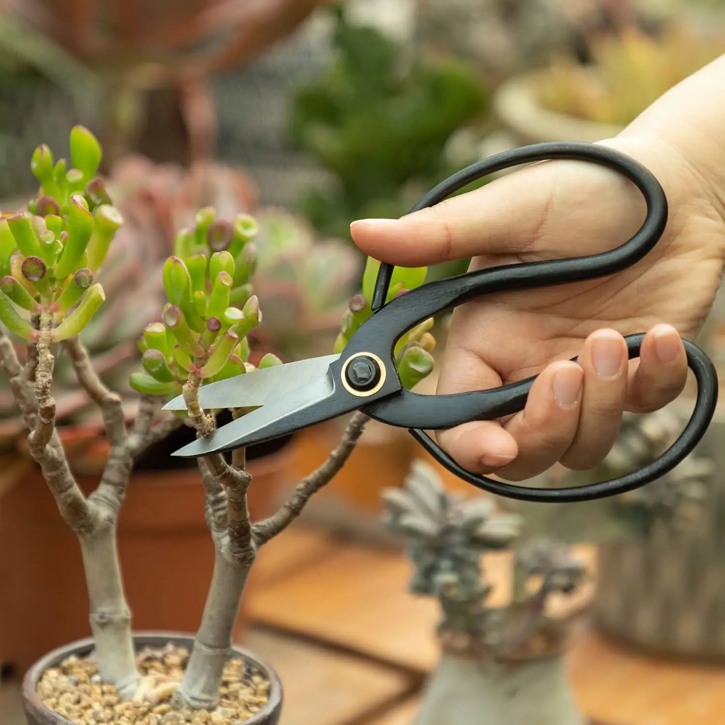 Bonsai Pruning Scissors – Traditional Butterfly Shears for Precise Trimming & Deadheading