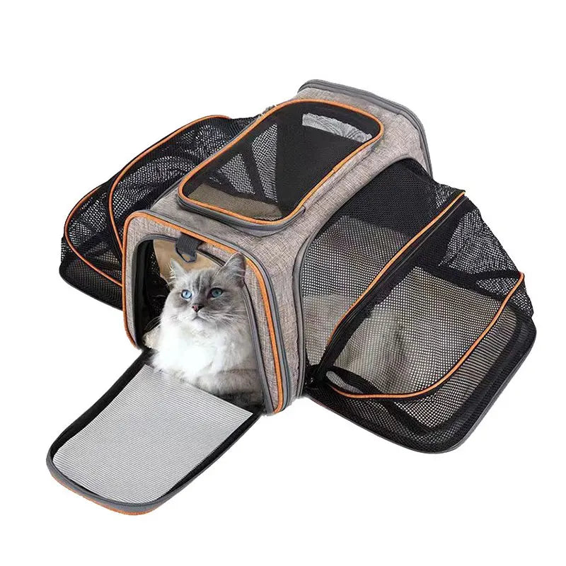 Foldable Pet Carrier Bag - Safety Zip Travel Carrier