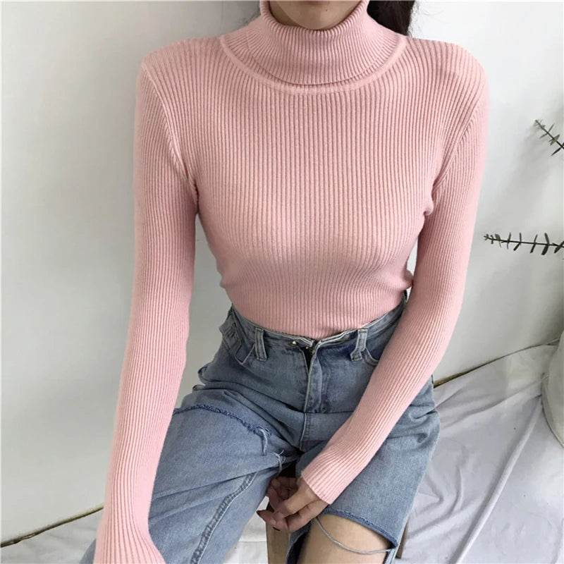 Women's Korean Turtleneck Sweater — Slim Knit Jumper