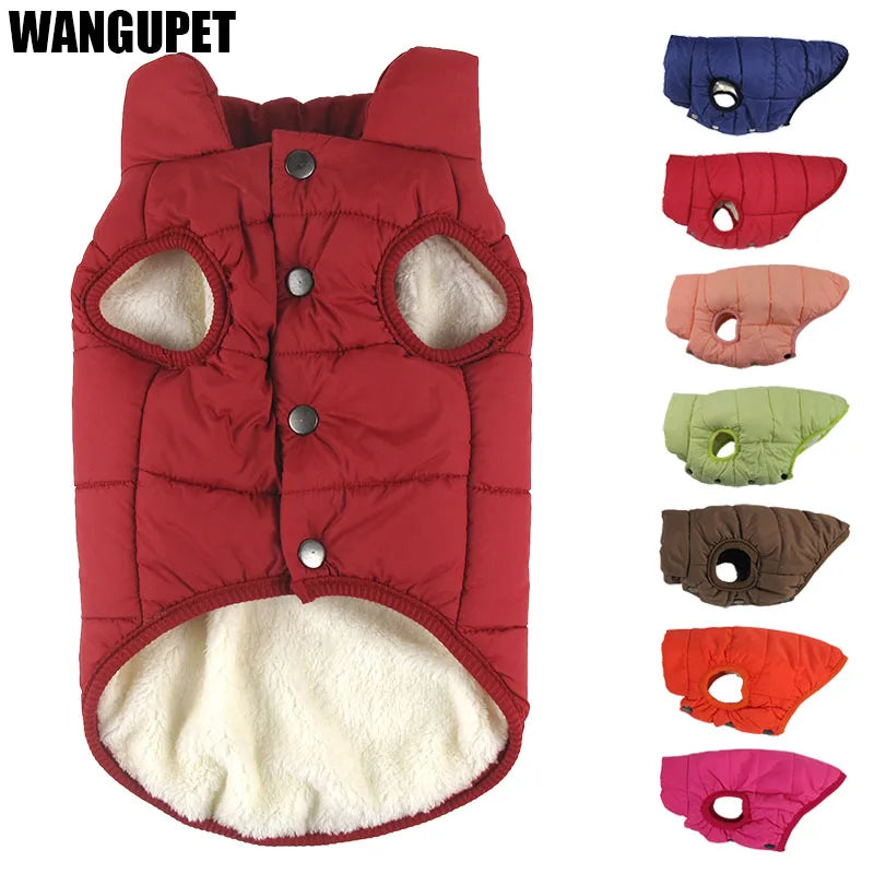 Winter Dog Coat - Warm Padded Jacket for Small & Large Dogs