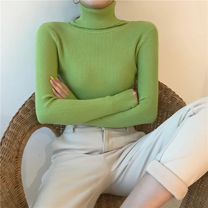 Women's Ribbed Turtleneck Sweater — Thick Knit Jumper