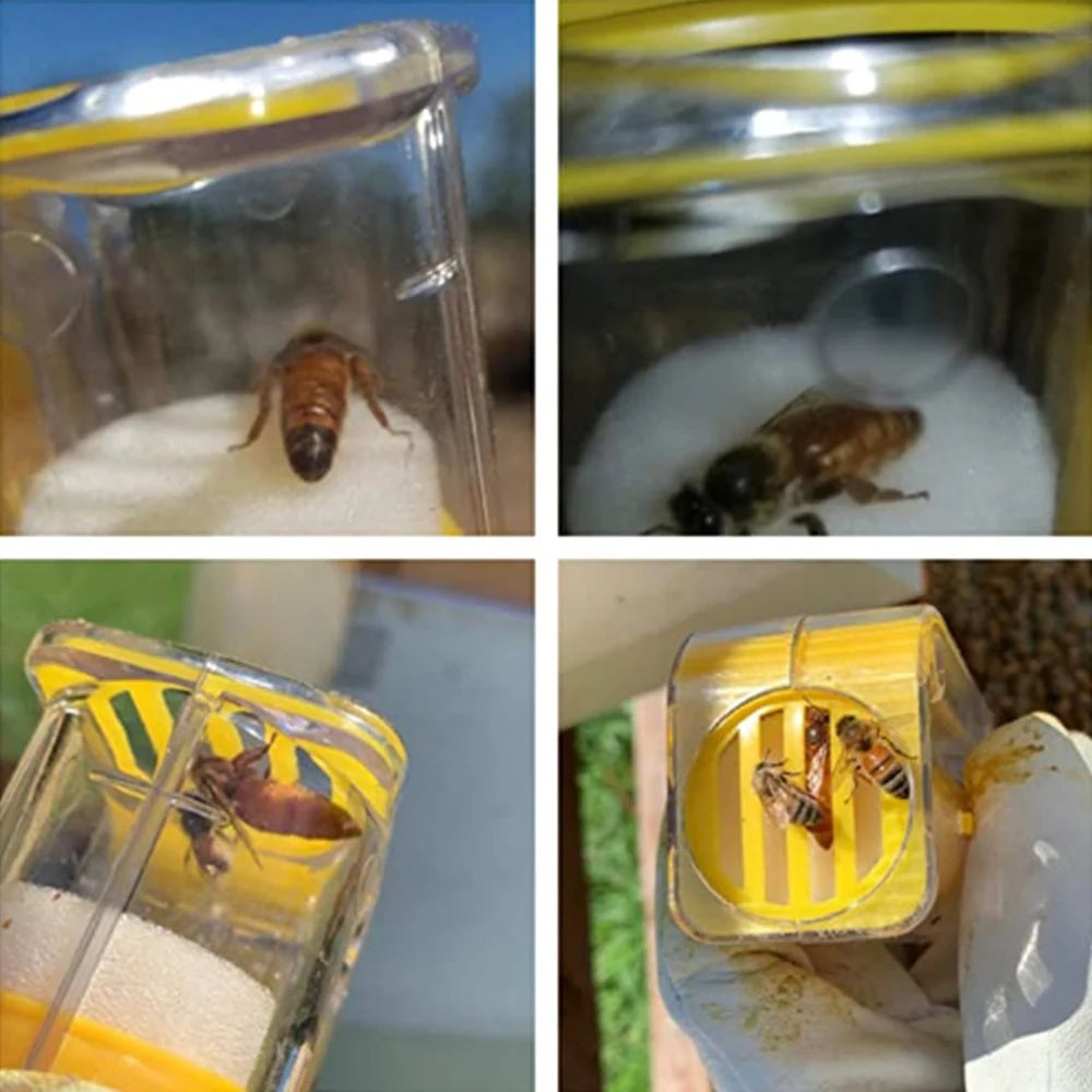 Bee Queen Marking Bottle Bee Mark Cage Plastic One Handed Marking Catcher With Plunger Plush Garden Beekeeping Supplies Tools