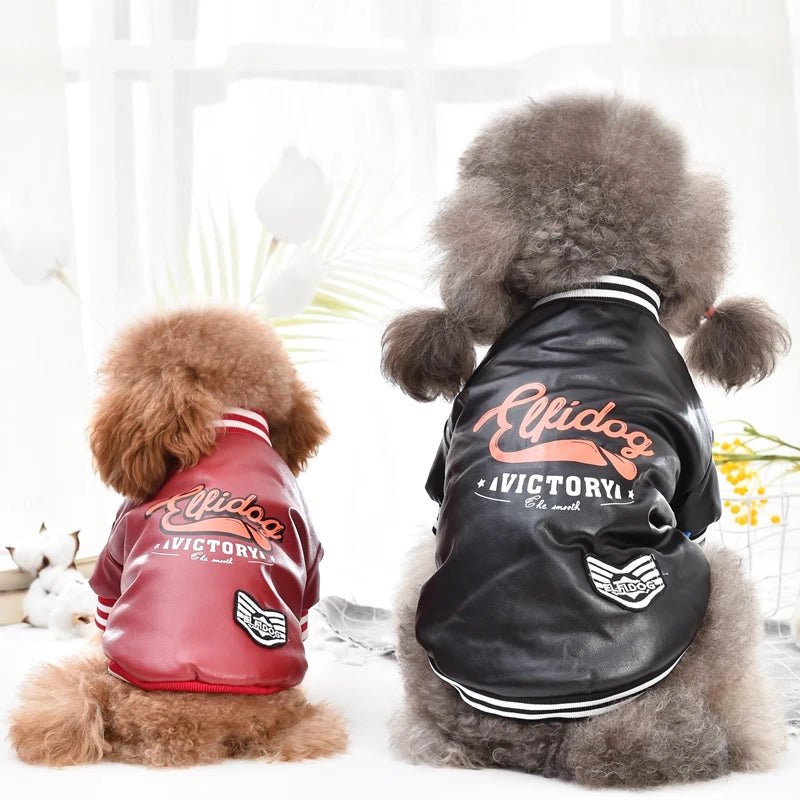 Shiny Dog Jacket with Plush Trim - Warm Winter Coat for Small Dogs - photo 3