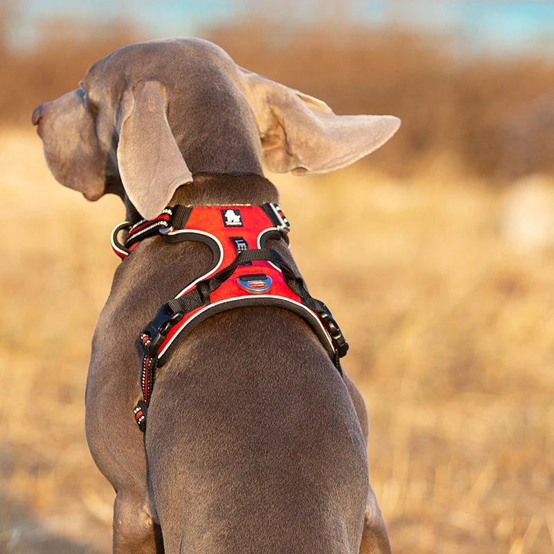 Truelove Reflective No-Pull Dog Harness – Adjustable Nylon Vest for Medium & Large Dogs | XS–XL (7 Colors)