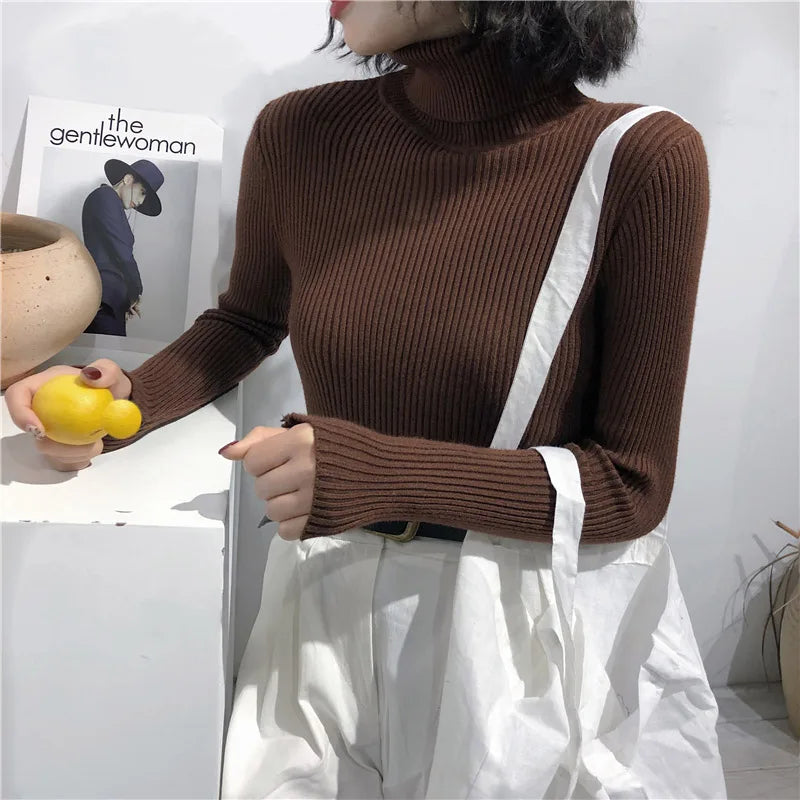 Women's Korean Turtleneck Sweater — Slim Knit Jumper