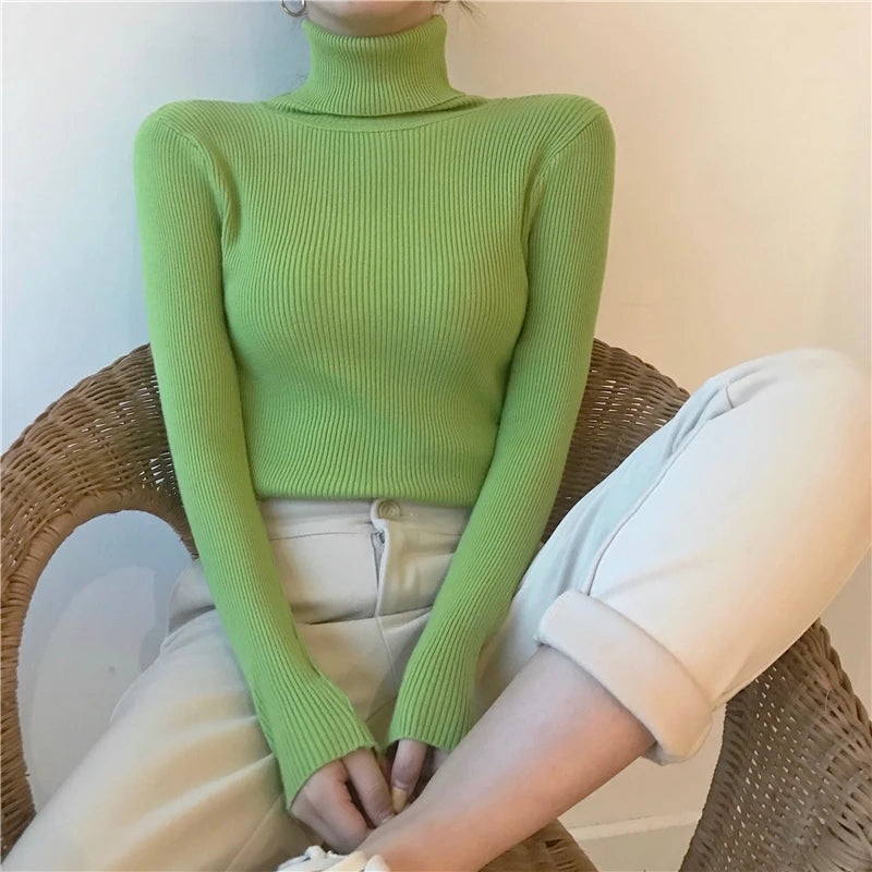Women's Ribbed Turtleneck Sweater — Thick Knit Jumper
