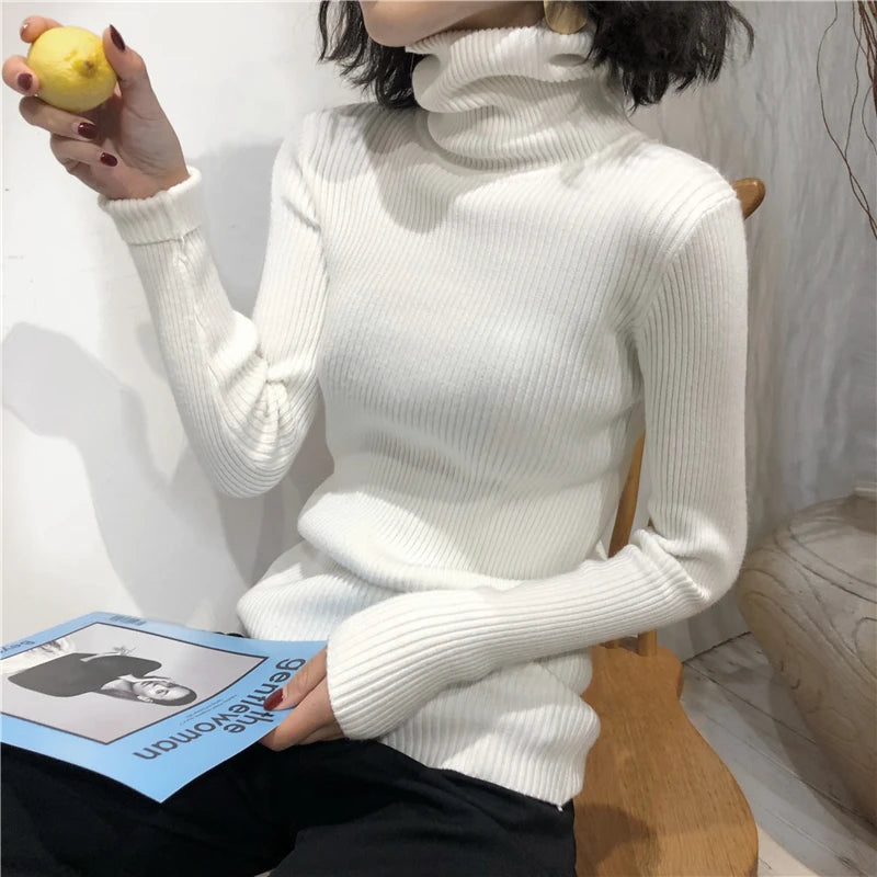 Women's Korean Turtleneck Sweater — Slim Knit Jumper