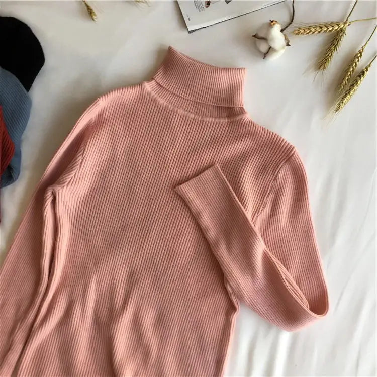 Women's Ribbed Turtleneck Sweater — Thick Knit Jumper