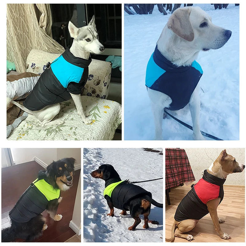Waterproof Winter Dog Coat - Warm Vest Jacket for Small to Large Dogs