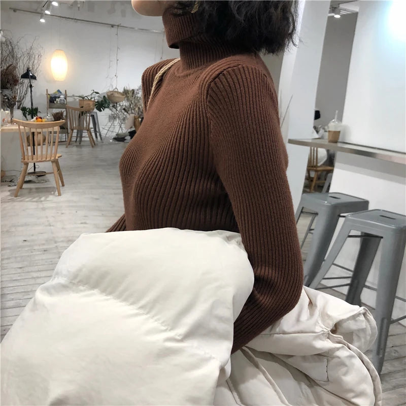 Women's Korean Turtleneck Sweater — Slim Knit Jumper