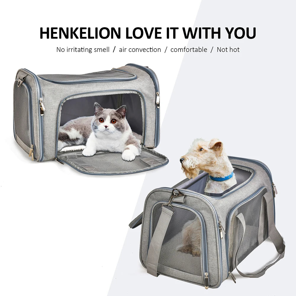 Soft-Side Dog Carrier Bag & Backpack – Airline Approved Pet Travel Bag for Small Dogs & Cats | M & L (Black, Gray)