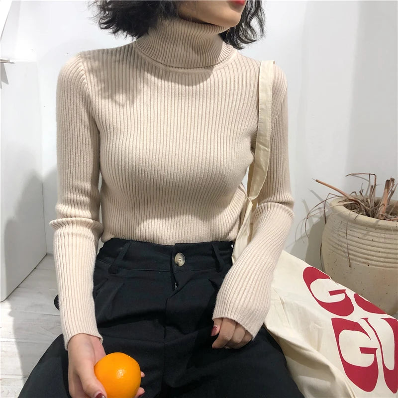 Women's Korean Turtleneck Sweater — Slim Knit Jumper