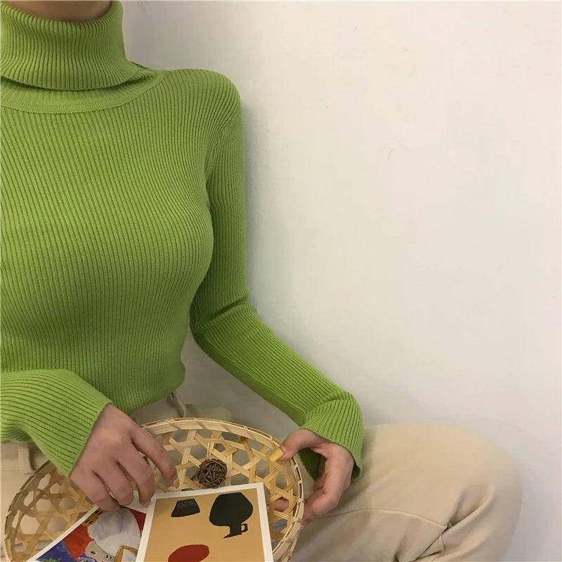 Women's Ribbed Turtleneck Sweater — Thick Knit Jumper