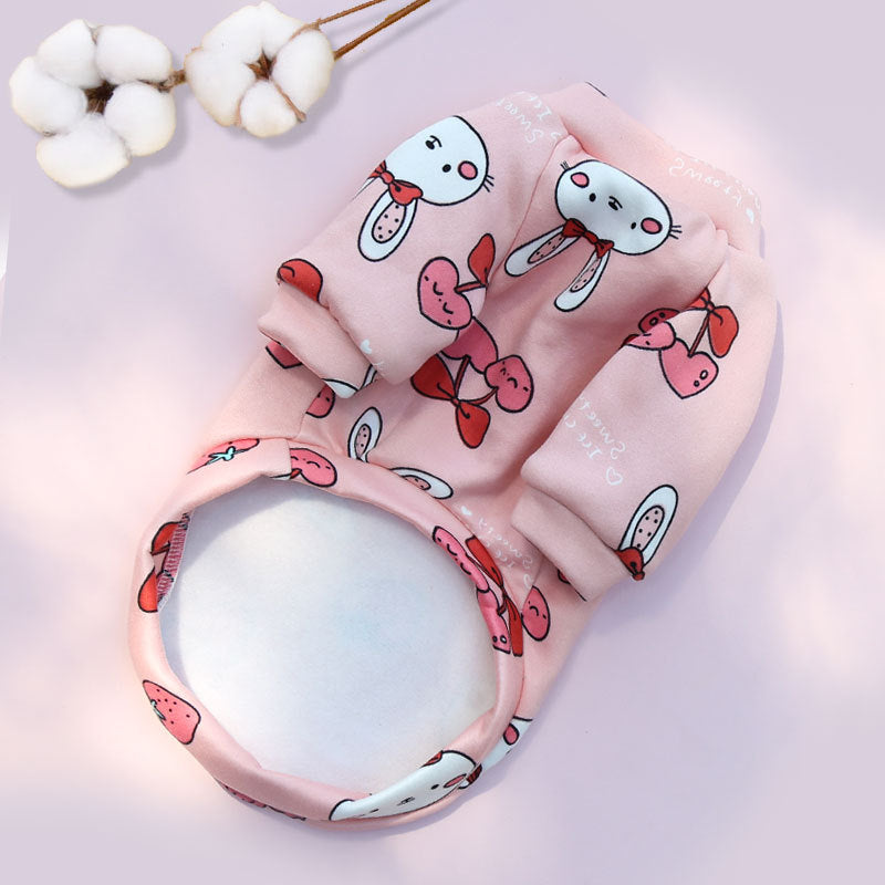 Manufacturer Custom Printed Cartoon Pet Clothes Fleece-Lined Two-Legged Sweatshirt Winter Pullover Dog and Cat Supplies Clothing