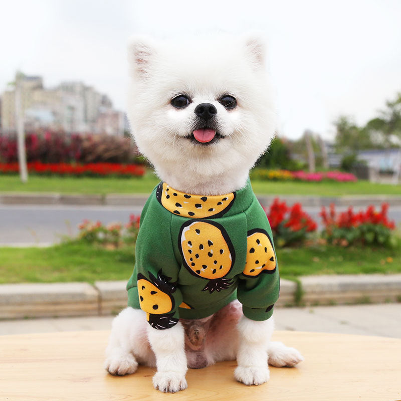 Manufacturer Custom Printed Cartoon Pet Clothes Fleece-Lined Two-Legged Sweatshirt Winter Pullover Dog and Cat Supplies Clothing