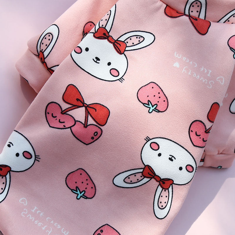 Manufacturer Custom Printed Cartoon Pet Clothes Fleece-Lined Two-Legged Sweatshirt Winter Pullover Dog and Cat Supplies Clothing