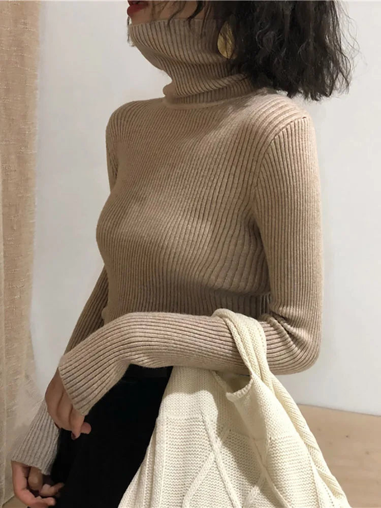 Women's Korean Turtleneck Sweater — Slim Knit Jumper