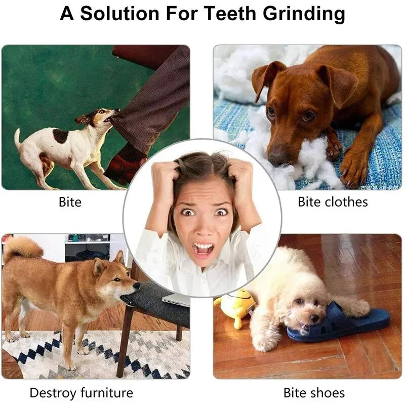 Rubber Treat Ball for Dogs - Bite-Resistant Chew & Feeder – photo 6