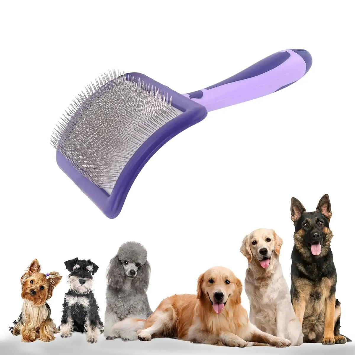 Dog Dematting Brush for Poodles & Curly Coats - Detangling Comb