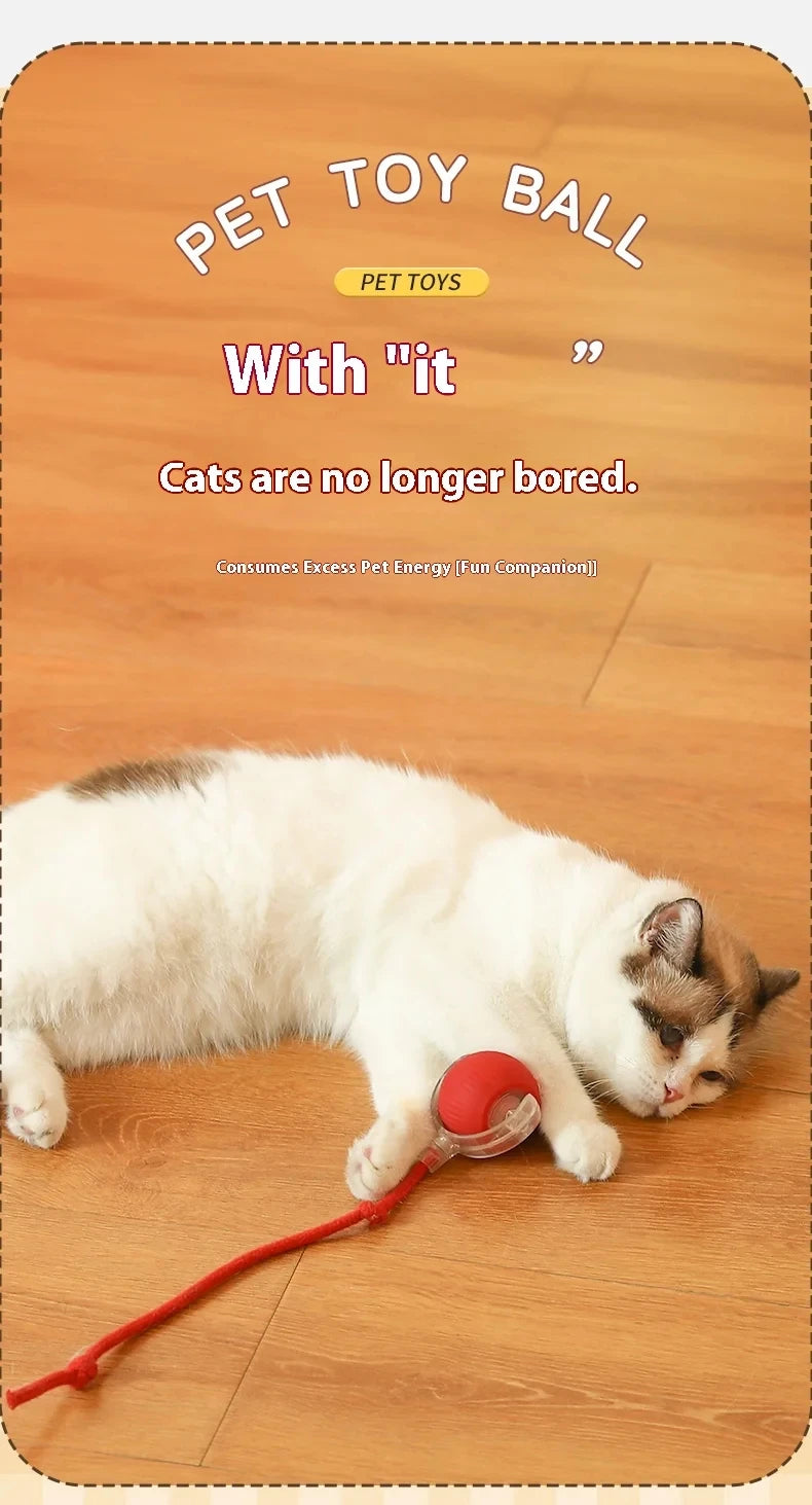 Electric Ball Toys Automatic Rolling Ball Rechargeable Smart Pet Interactive Plush Toy Dog Cat Training Imitate Mouse