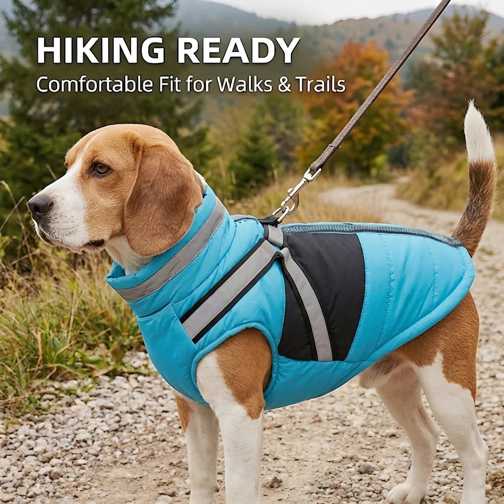 Reflective Dog Winter Coat with Harness D-Ring - Small to Medium Dogs
