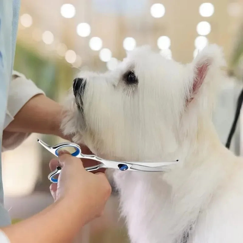 Round-Head Stainless Dog Hair Shears - Effortless Trim – photo 5