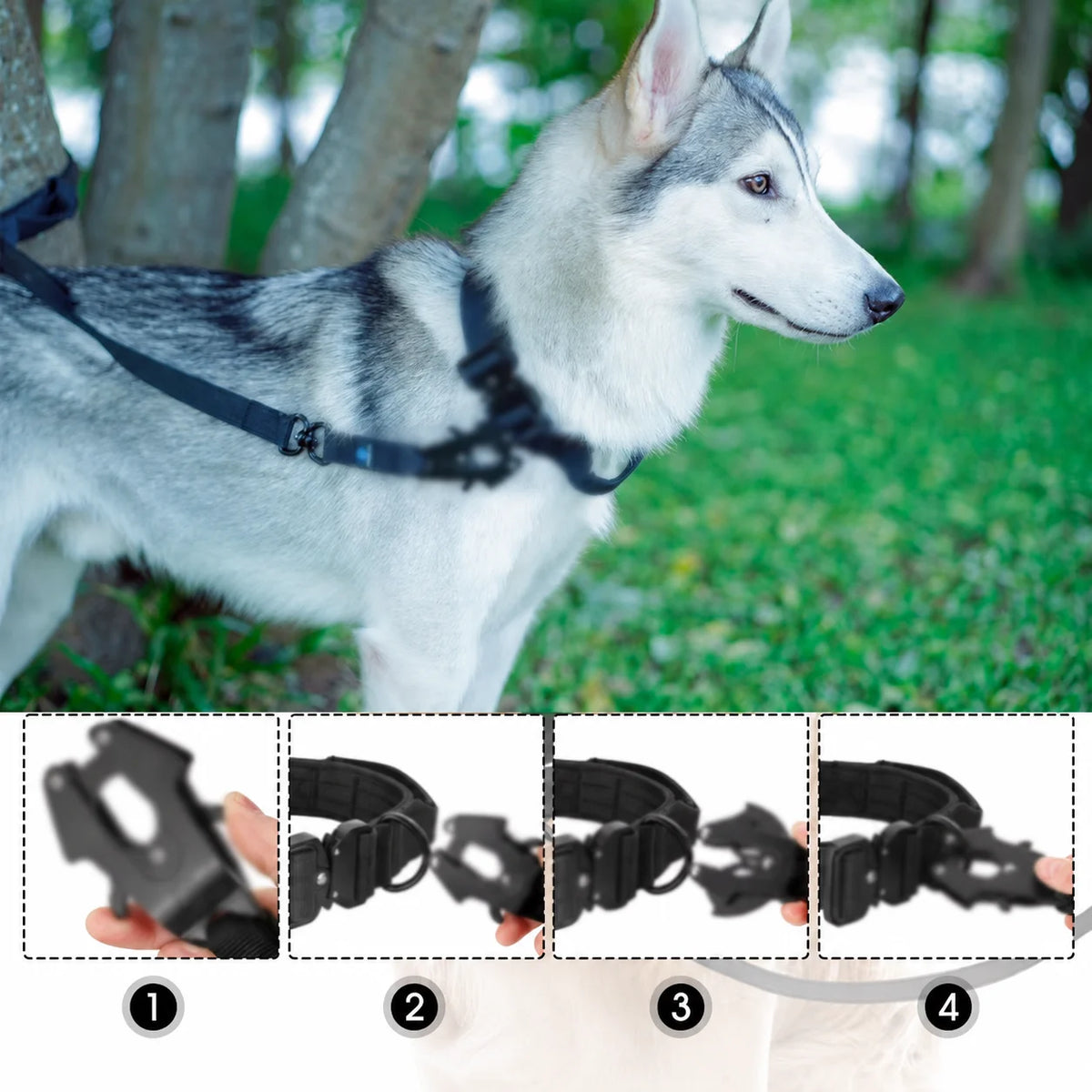 Short Nylon Dog Traffic Lead - Metal Buckle Leash for Large Dogs - photo 5