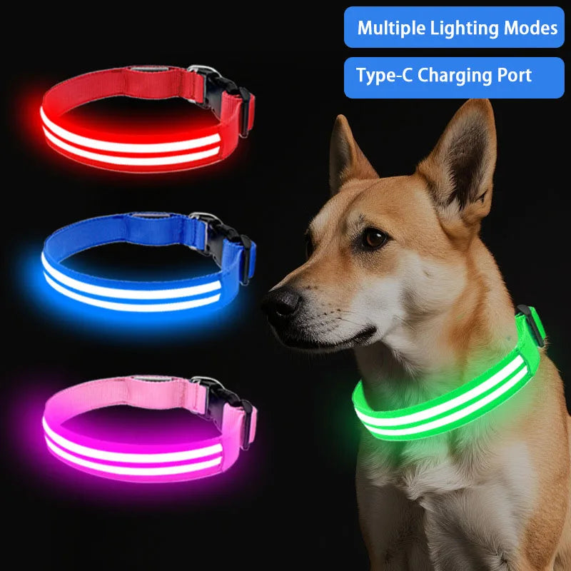 LED Light Up Dog Collar – Rechargeable Glowing Safety Collar for Night Walks | Color LED Pet Necklace with Harness & Leash Ring