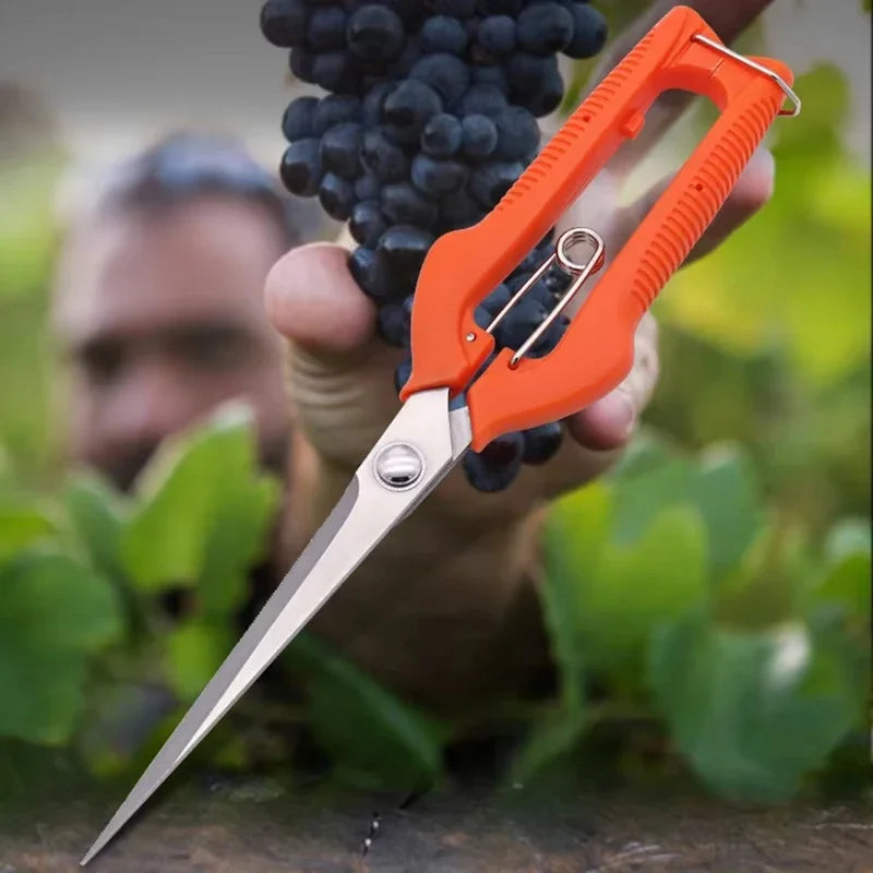 Pruning Shears Grape Scissors Garden Tool Vegetable Patch Bonsai Professional  Stainless Steel Fruit Picking With Lock New
