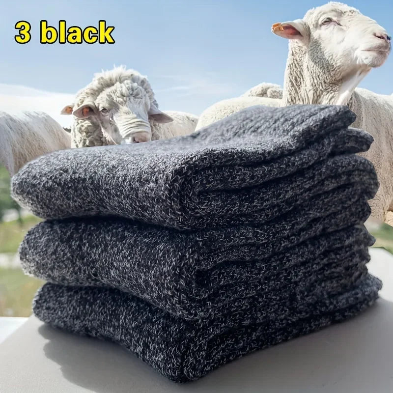 Men's Thick Terry Crew Socks, 3 or 5 Pairs