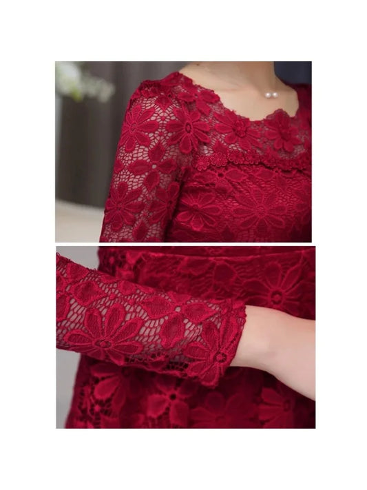 Women's Vintage Lace Long Sleeve Blouse - Pleated Plus Size Top - photo 5