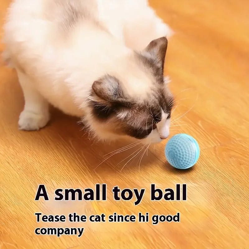 Smart Electric Rolling Cat Toy Ball – USB Rechargeable Automatic Interactive Teaser | Moving Bouncing Ball for Cats