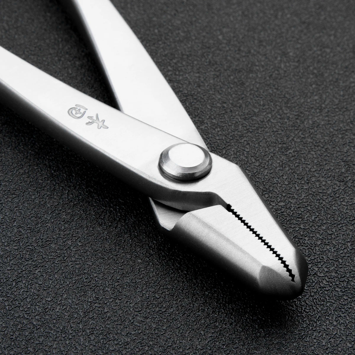 205mm Bonsai Jin Pliers – Training Wire & Deadwood Styling Tool for Bonsai