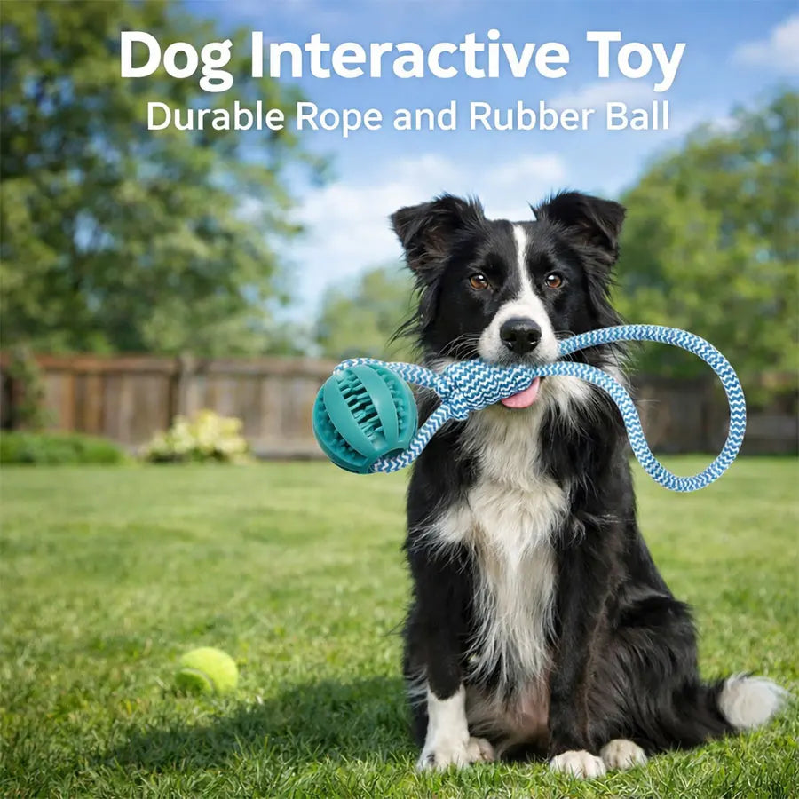 Interactive Dog Toy for Small & Medium Dogs Durable Tug of War Rope with Rubber Ball for Training & Outdoor Play (Blue)