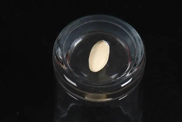 Comedy Pistachio Nuts Through Glass Cup Magic Tricks Penetration Magia Magician Close Up Illusions Gimmick Props Mentalism Toy
