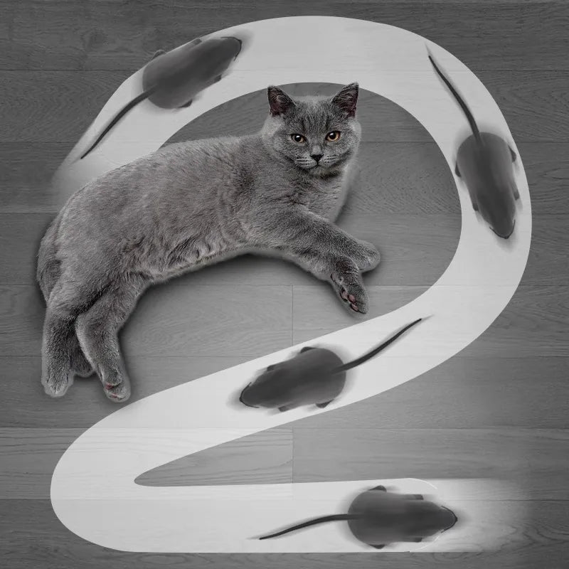 Wireless Remote Control Mouse - Cat Teaser Self-Play Toy – photo 4