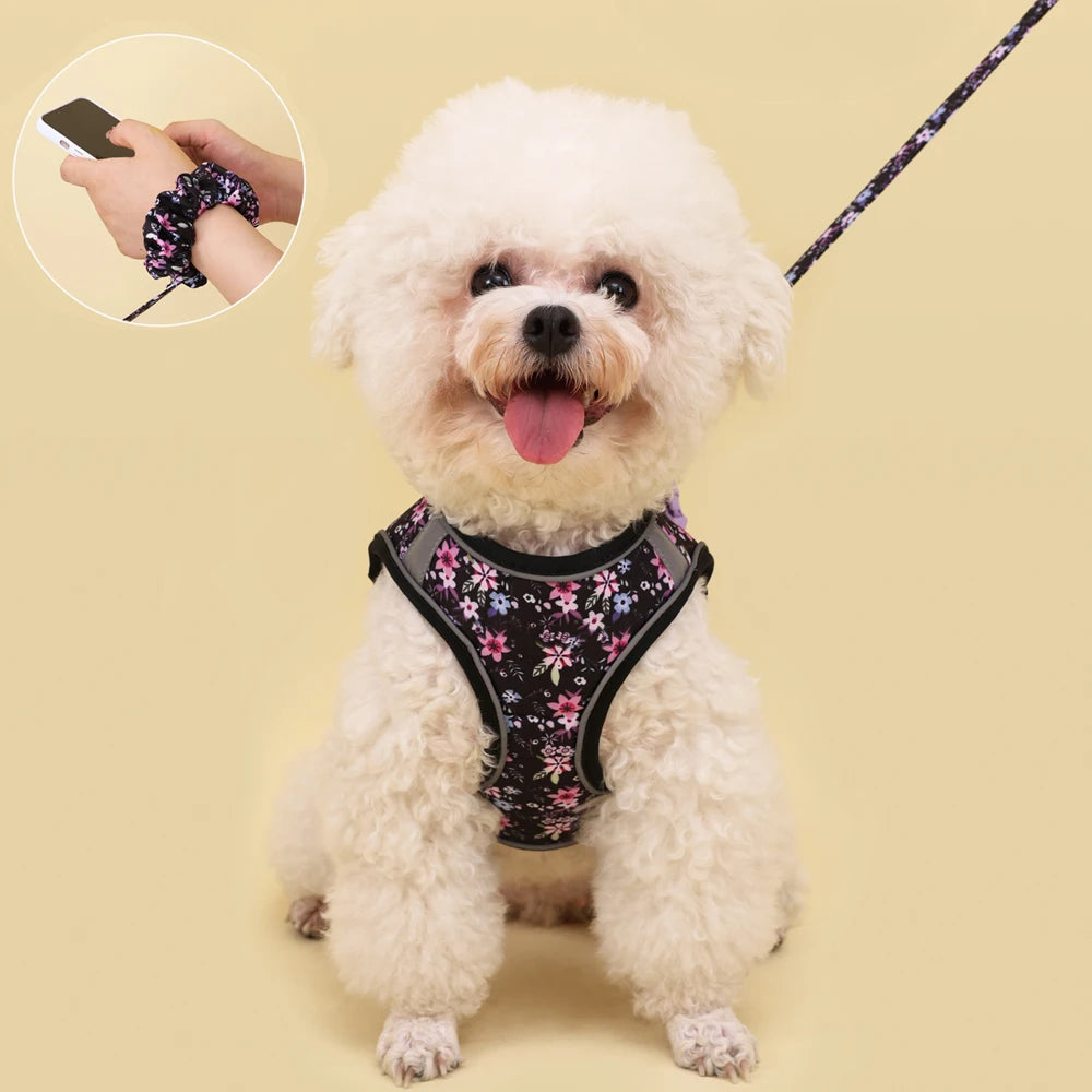 Small Dog Harness Leash Set Cute Traction Bracelet Medium Cat Collar Suit Soft Puppy Vest Harness Adjustable Pet Accessories