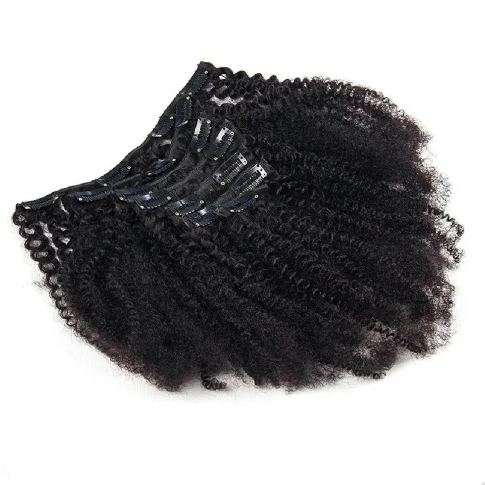 Afro Kinky Curly Clip in Hair Extensions Real Human Hair for Women Brazilian Kinky Curly Human Hair Clip in Extensions 8Pcs 120G