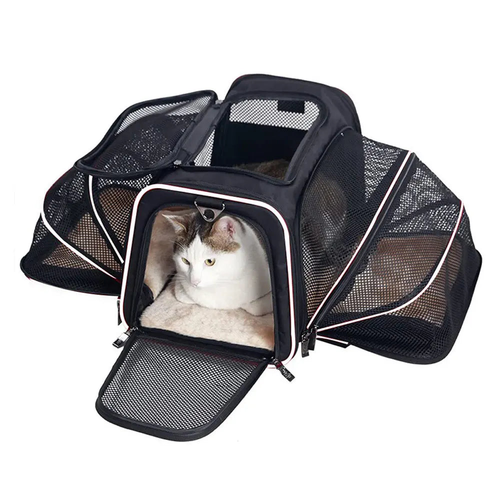 Foldable Pet Carrier Bag - Safety Zip Travel Carrier – photo 2