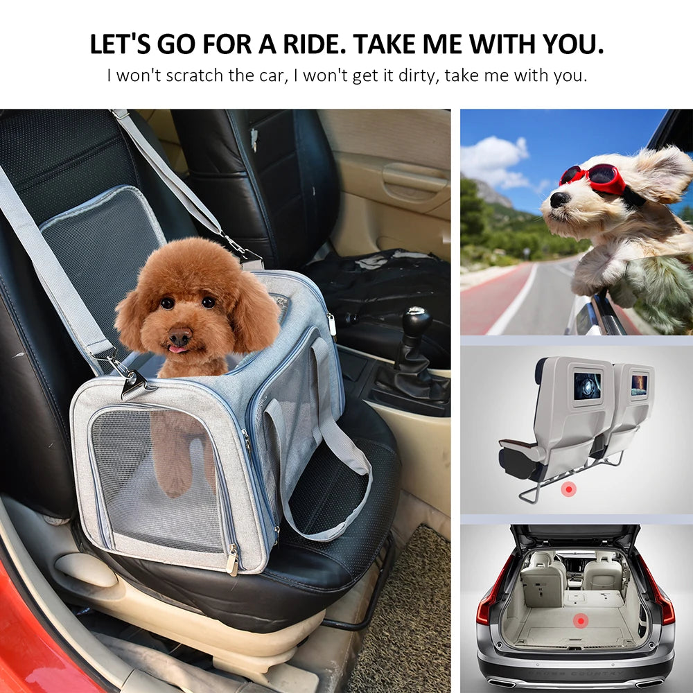 Soft-Side Dog Carrier Bag & Backpack – Airline Approved Pet Travel Bag for Small Dogs & Cats | M & L (Black, Gray)