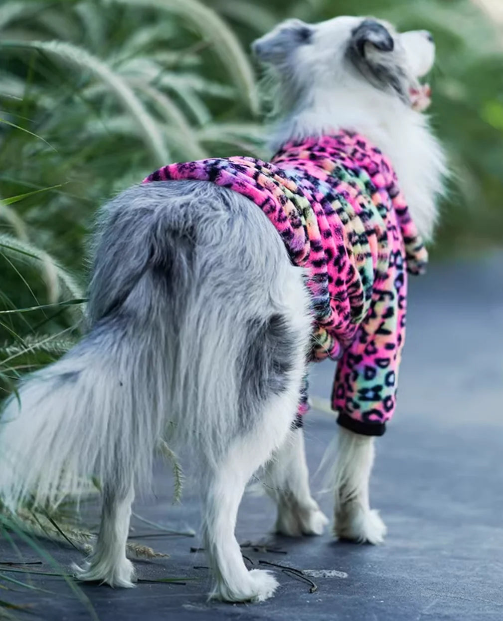 Large Breed Dog Winter Coat - Warm Padded Jacket for Big Dogs - photo 3