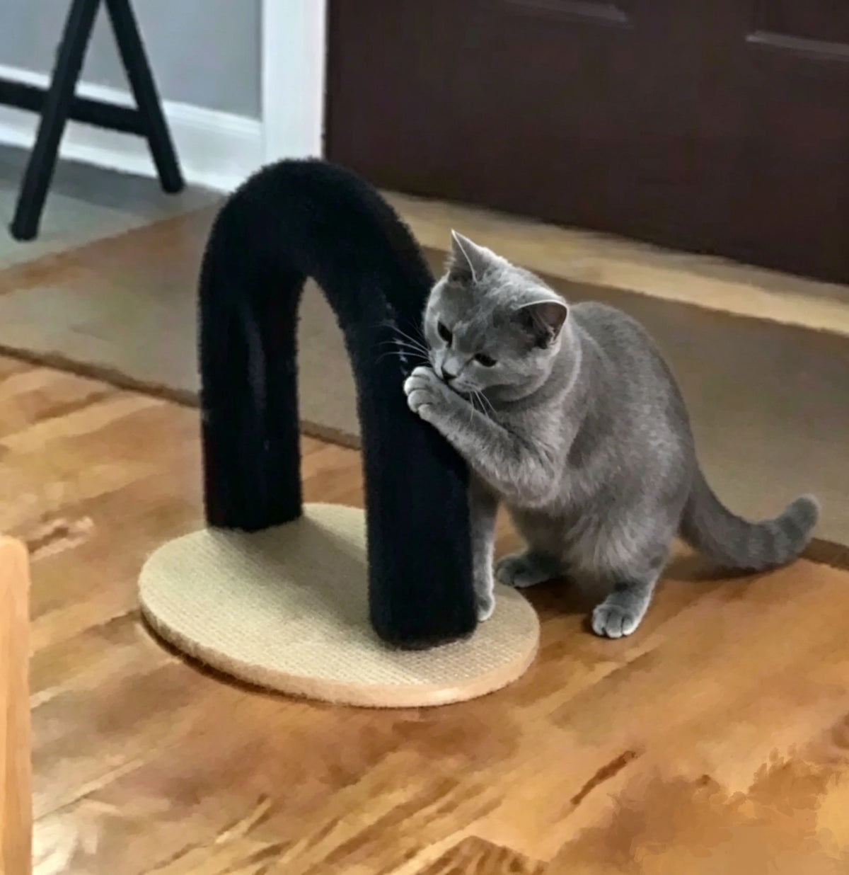 Cat Toy Arch Self Groome Pamper Feline with A Massage Grooming Rubbing Brush with Scratching Pad Toy for Cats Interactive Toys