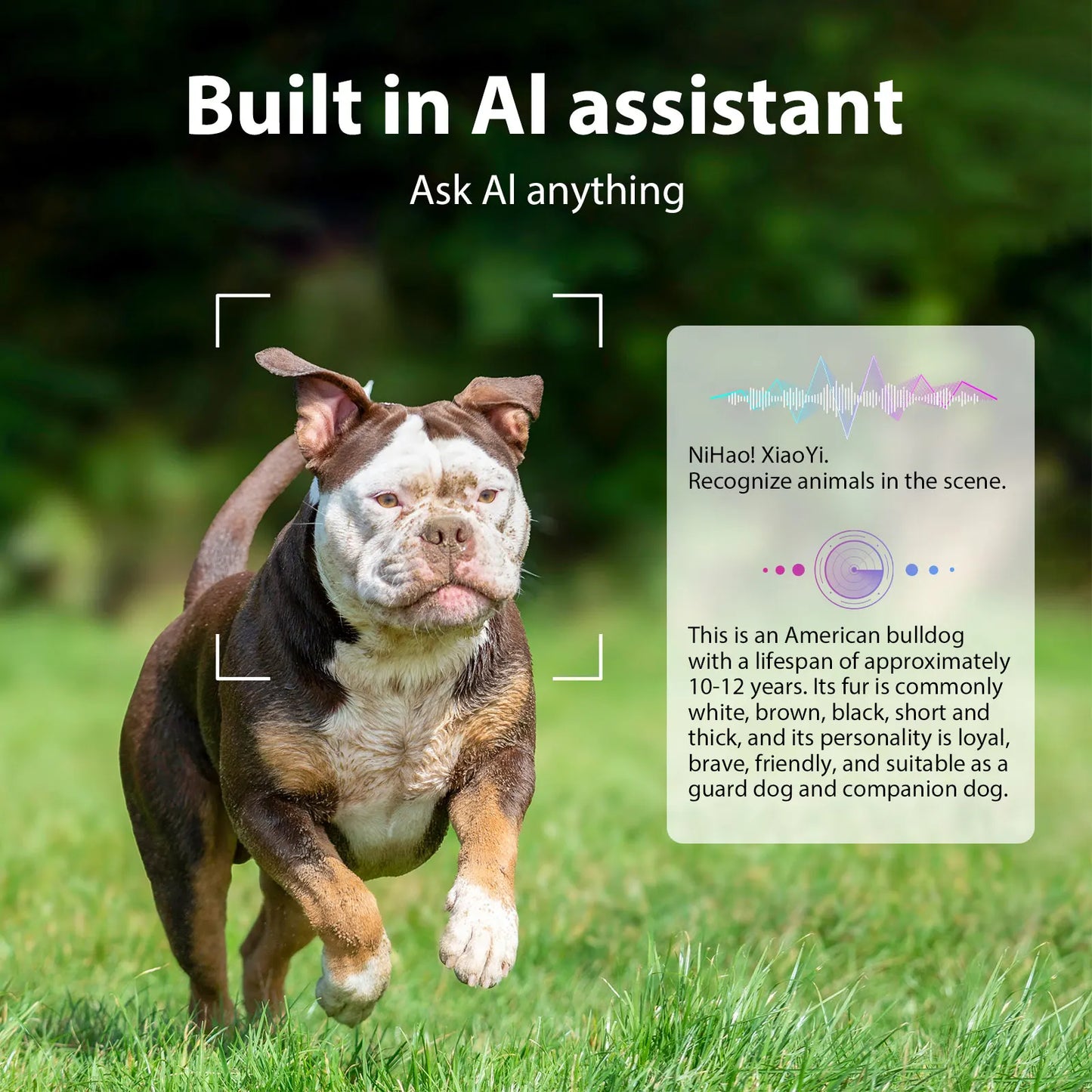 High appearance intelligent AI glasses, dual cameras, 2 million pixels, with three lenses, wireless smart glasses, hunting glasses, video glasses, AI shooting glasses, cycling glasses, sports camera, long battery life, high s